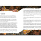 "Bible Stories for Kids" Children's Book